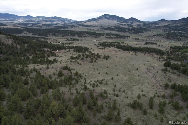 706 Bristlecone Rd, Guffey, CO 80820