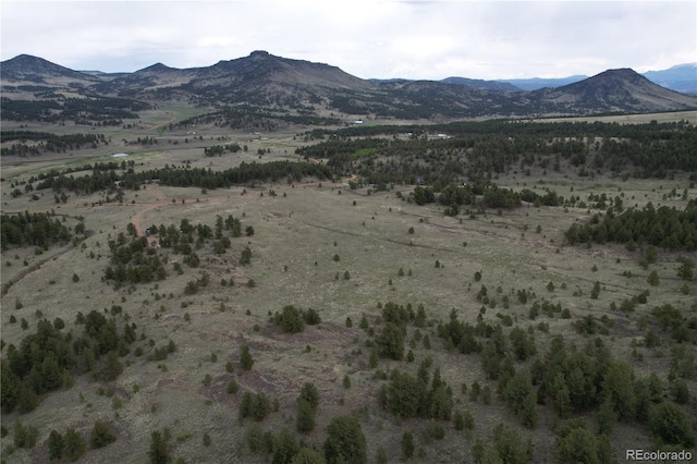 706 Bristlecone Rd, Guffey, CO 80820