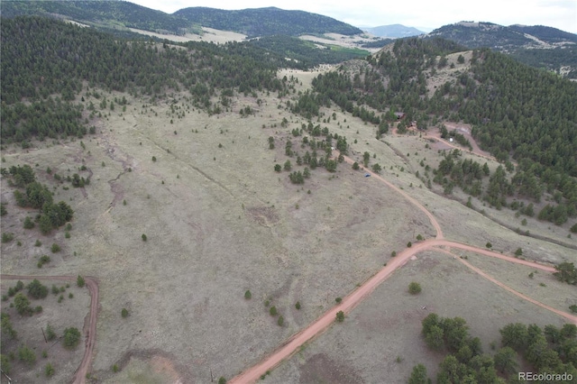 706 Bristlecone Rd, Guffey, CO 80820