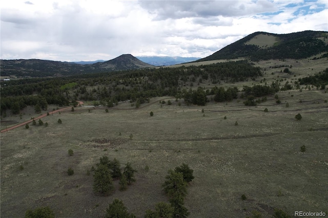 706 Bristlecone Rd, Guffey, CO 80820