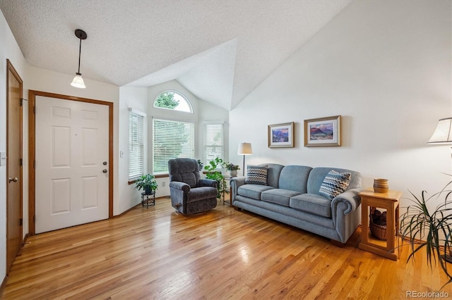 5513 S Yank Ct, Littleton, CO 80127 - living room with light wood-style flooring, vaulted ceiling, and a textured ceiling