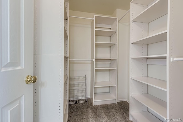 9634 Merimbula St, Highlands Ranch, CO 80130 - photo 23
