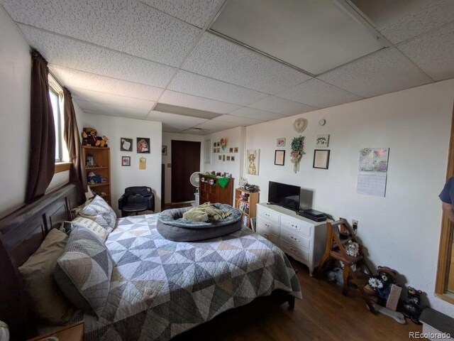 290 W 1st Ave, Broomfield, CO 80020 - bedroom with wood finished floors and a paneled ceiling
