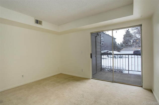 spare room with carpet flooring, a textured ceiling, and a raised ceiling