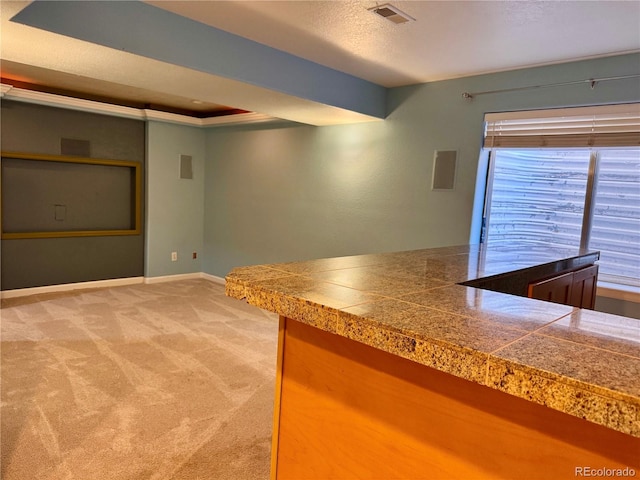 10064 Westside Cir, Littleton, CO 80125 - bar area featuring light carpet and a tray ceiling