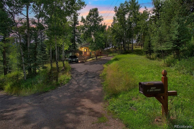 7256 Aspen Meadow Dr, Evergreen, CO 80439 - view of dirt / gravel driveway