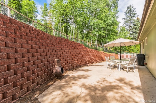 7256 Aspen Meadow Dr, Evergreen, CO 80439 - view of patio / terrace featuring outdoor dining area and grilling area
