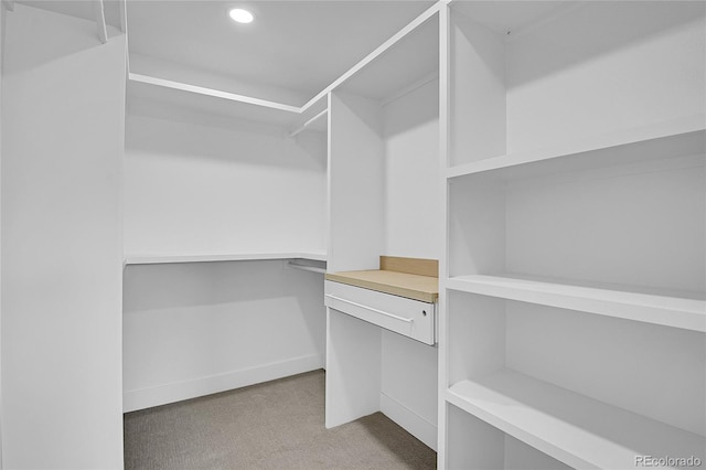 spacious closet with carpet floors