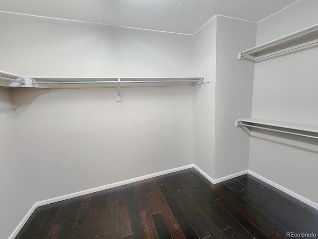 walk in closet featuring wood-type flooring