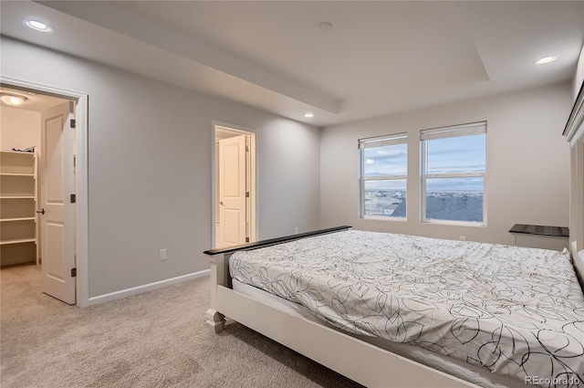 carpeted bedroom with a spacious closet