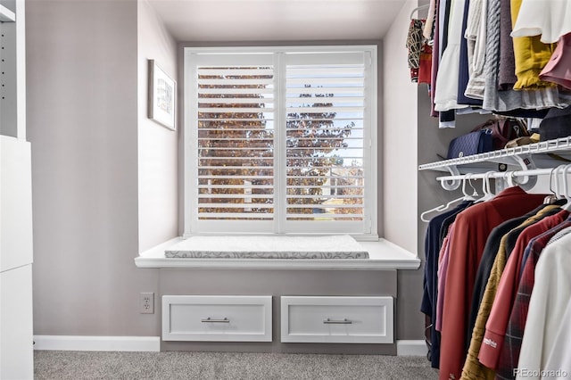 view of walk in closet