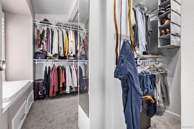 walk in closet featuring carpet flooring
