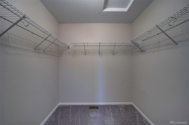 5336 Blair Vw, Colorado Springs, CO 80916 - walk in closet featuring carpet floors and visible vents