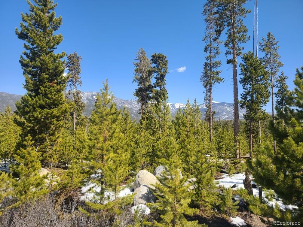 446 Gcr 4571, Grand Lake, CO 80447 - photo 1