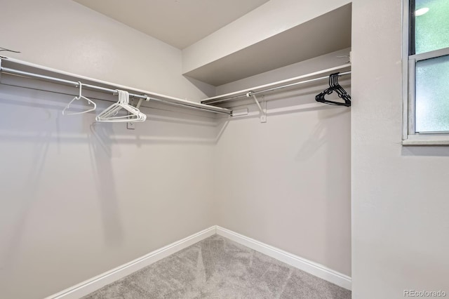 8985 W Quarto Pl, Littleton, CO 80128 - spacious closet featuring carpet