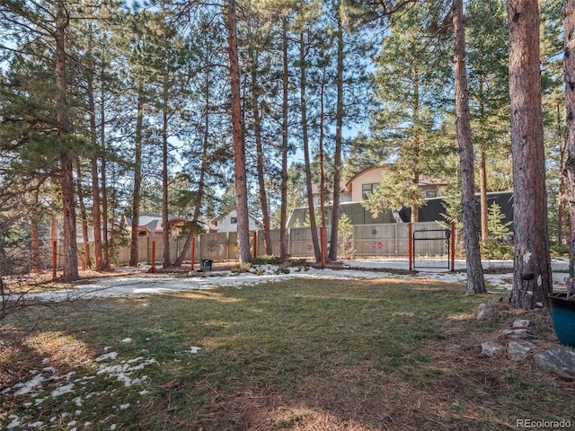 28735 Little Big Horn Dr, Evergreen, CO 80439 - view of yard