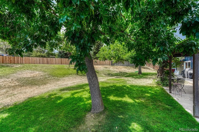 4883 S Kipling Way, Littleton, CO 80127 - photo 41