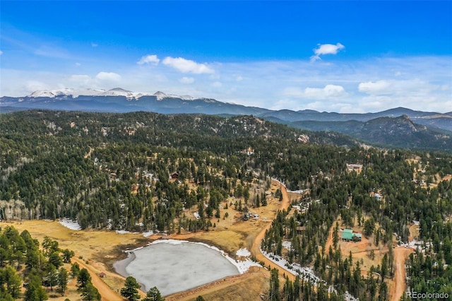 34 Nebraska Cir, Florissant, CO 80816 - bird's eye view with a forest view and a mountain view