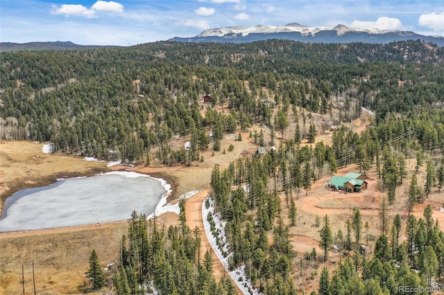 34 Nebraska Cir, Florissant, CO 80816 - aerial view with a mountain view and a wooded view