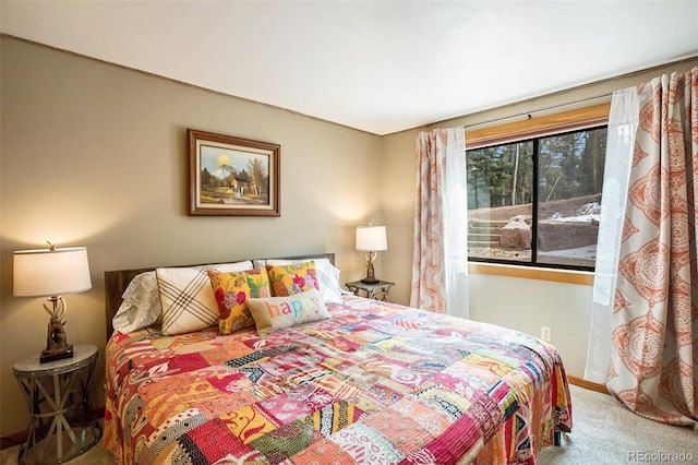 34 Nebraska Cir, Florissant, CO 80816 - bedroom featuring carpet flooring and baseboards