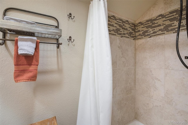34 Nebraska Cir, Florissant, CO 80816 - bathroom with a tile shower and lofted ceiling