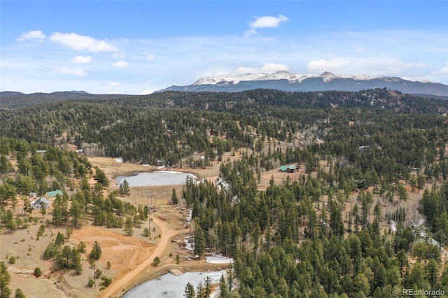 34 Nebraska Cir, Florissant, CO 80816 - birds eye view of property featuring a wooded view and a mountain view