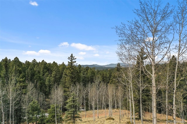34 Nebraska Cir, Florissant, CO 80816 - mountain view featuring a wooded view