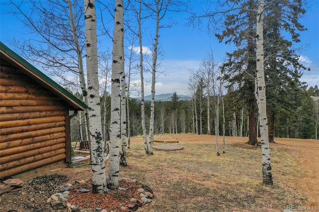 34 Nebraska Cir, Florissant, CO 80816 - view of yard featuring a view of trees and a mountain view