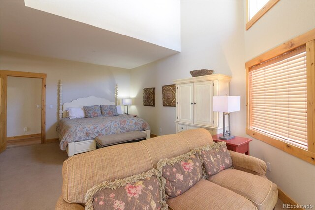 42 Earhart Ln, Crested Butte, CO 81224 - photo 11