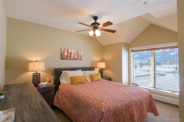 42 Earhart Ln, Crested Butte, CO 81224 - photo 14