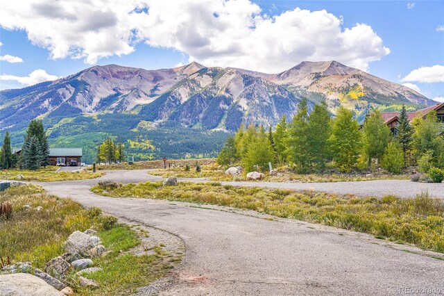 42 Earhart Ln, Crested Butte, CO 81224 - photo 23