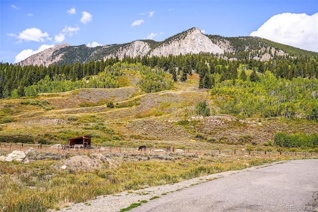 42 Earhart Ln, Crested Butte, CO 81224 - photo 24