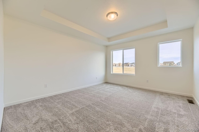 carpeted empty room with a raised ceiling