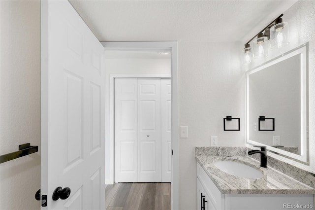 bathroom featuring vanity, wood finished floors, and a closet