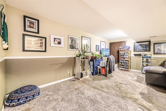 2238 S Nome Ct, Aurora, CO 80014 - recreation room with carpet floors and a textured ceiling