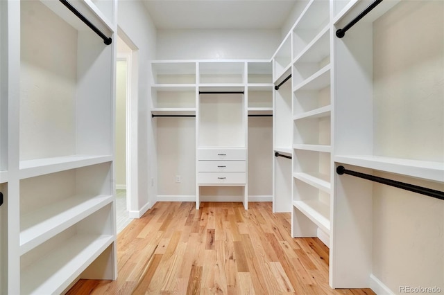 spacious closet with light wood-type flooring