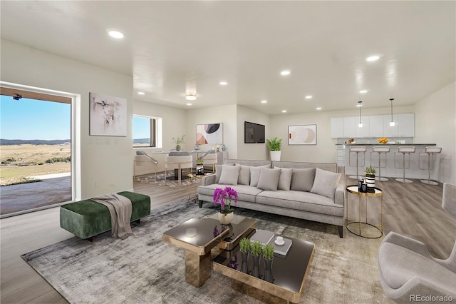 living room with light hardwood / wood-style floors