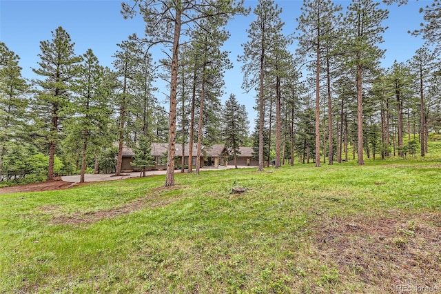 4856 Cheyenne Dr, Larkspur, CO 80118 - view of grassy yard with a view of trees