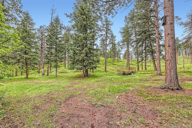 4856 Cheyenne Dr, Larkspur, CO 80118 - view of yard