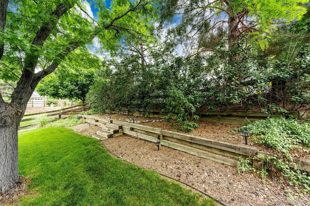 9846 Spring Hill Ln, Highlands Ranch, CO 80129 - view of grassy yard