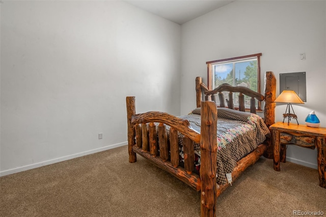 780 Oak St, Hartsel, CO 80449 - bedroom featuring carpet and electric panel