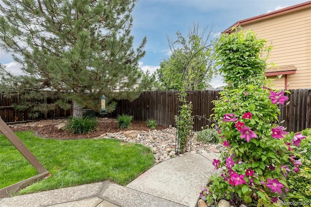2763 Dharma Ave, Broomfield, CO 80020 - view of fenced backyard
