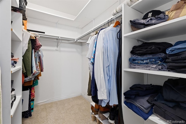 2763 Dharma Ave, Broomfield, CO 80020 - spacious closet featuring carpet