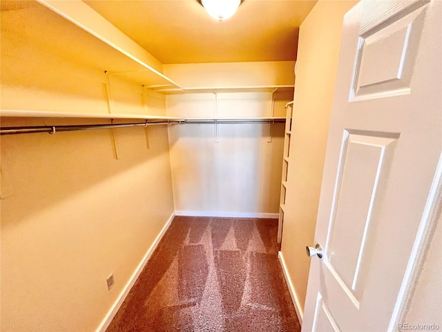 spacious closet featuring carpet flooring