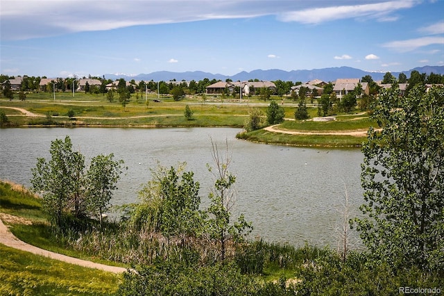16392 Spanish Peak Way, Broomfield, CO 80023 - photo 36