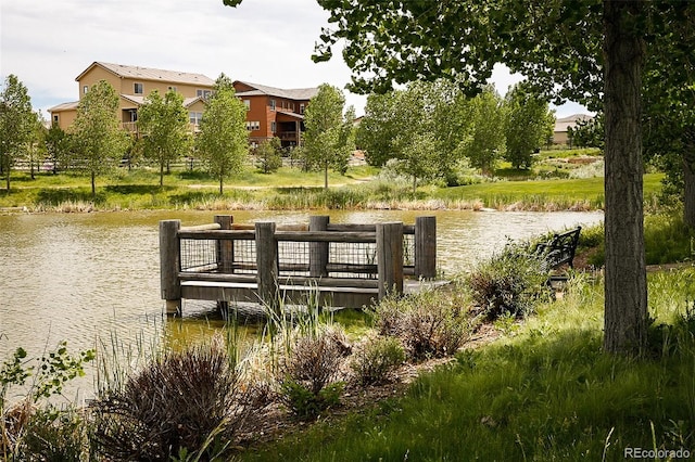 16392 Spanish Peak Way, Broomfield, CO 80023 - photo 38