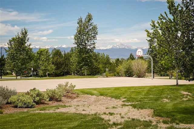 16392 Spanish Peak Way, Broomfield, CO 80023 - photo 42