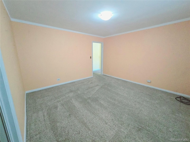 unfurnished room featuring crown molding and carpet