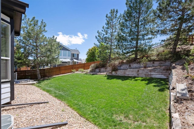 1488 Baguette Dr, Castle Rock, CO 80108 - view of yard