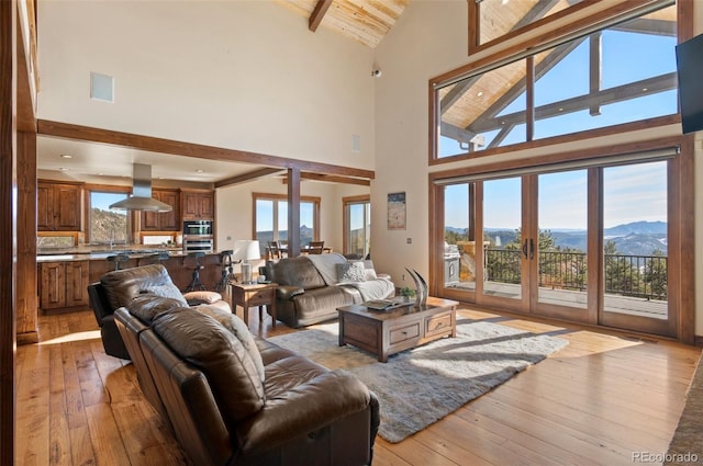 living room featuring a mountain view, high vaulted ceiling, and plenty of natural light